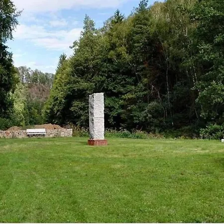 Near Area
