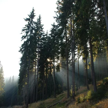 In Rechenberg-bienemuehle Vakantiehuis *