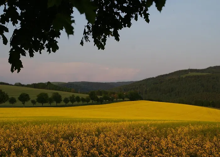 In Rechenberg-bienemuehle *