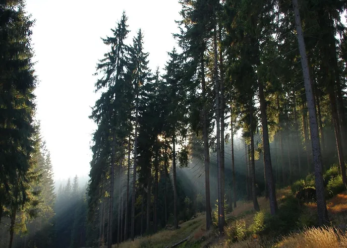 In Rechenberg-bienemuehle Дом отдыха *